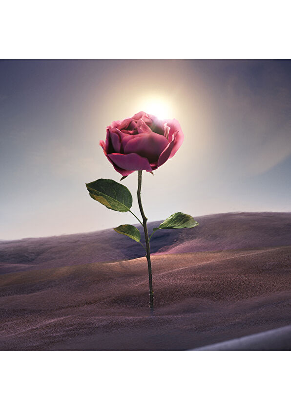 Bvlgari Le Gemme Sahare Edp 125 Ml - 4