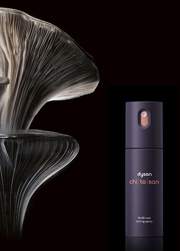 Dyson Omega™ ve Chitosan™ İkili Saç Şekillendirme Seti - 2