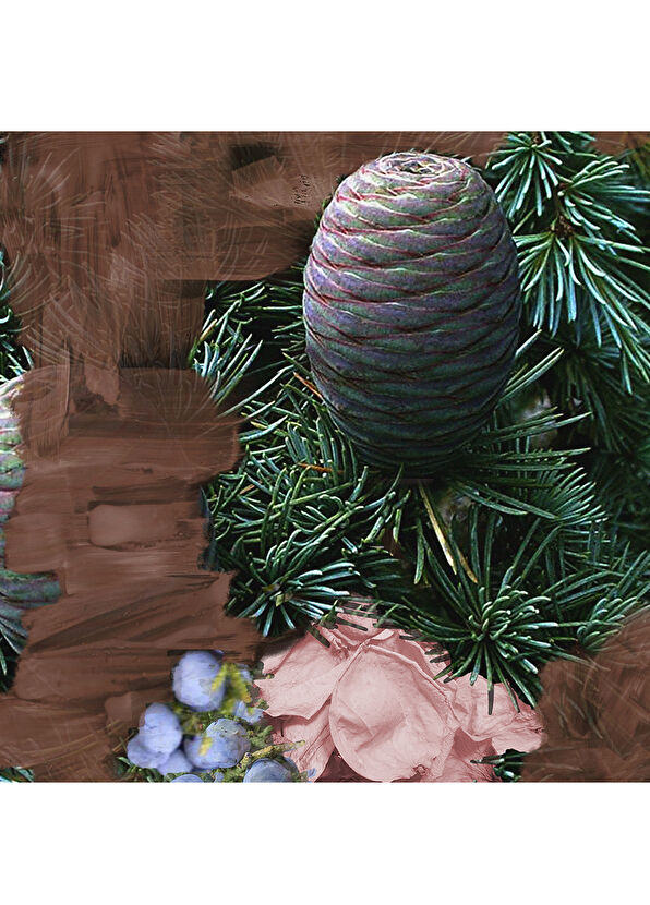 BYREDO Super Cedar EDP 100 ml Parfüm - 4