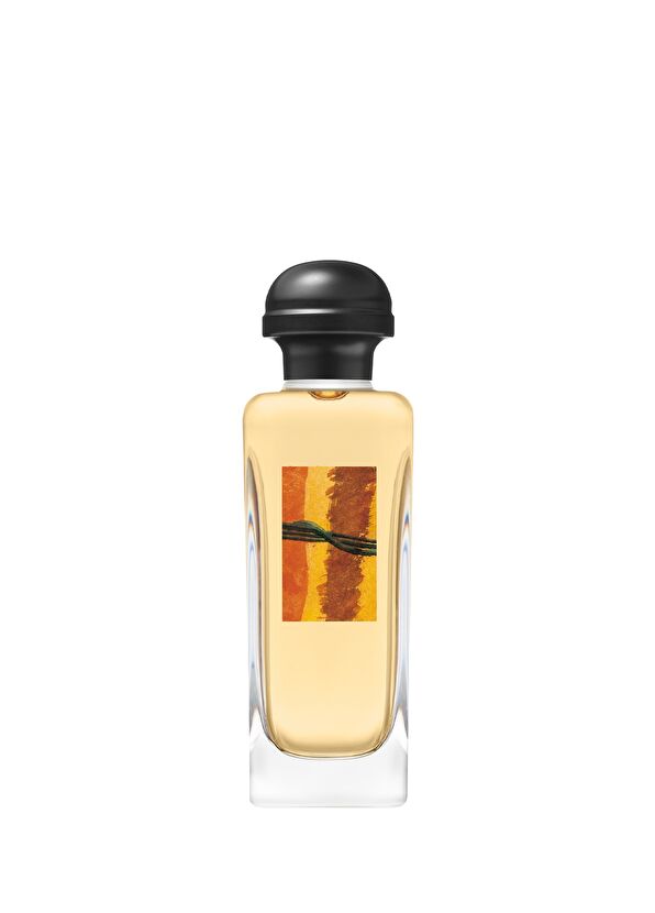 Hermès Rocabar Eau de toilette 100ml - 2