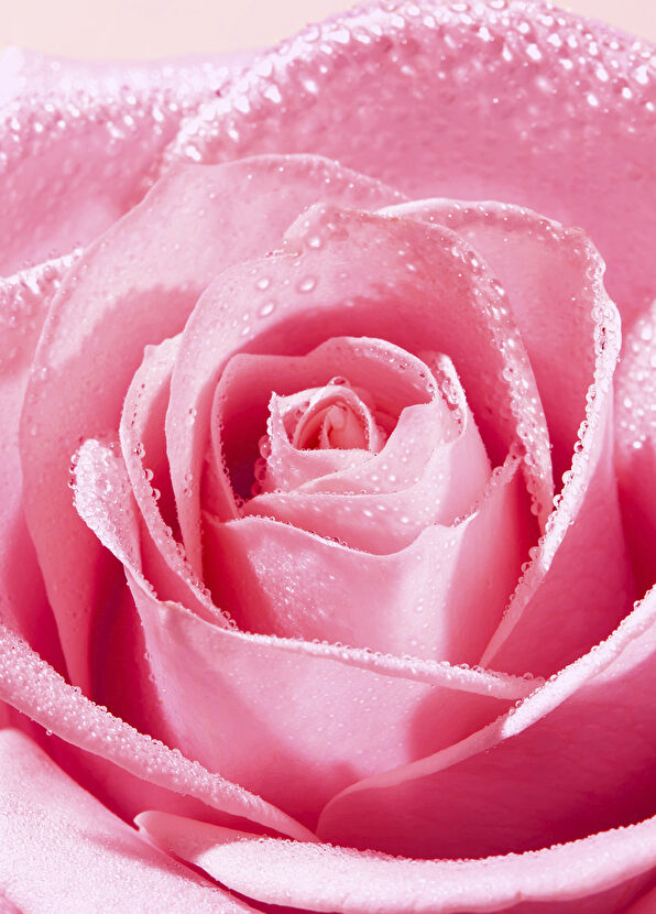 Nuxe Very Rose Yatıştırıcı Temizleyici Micellar Su 400 ml - 3