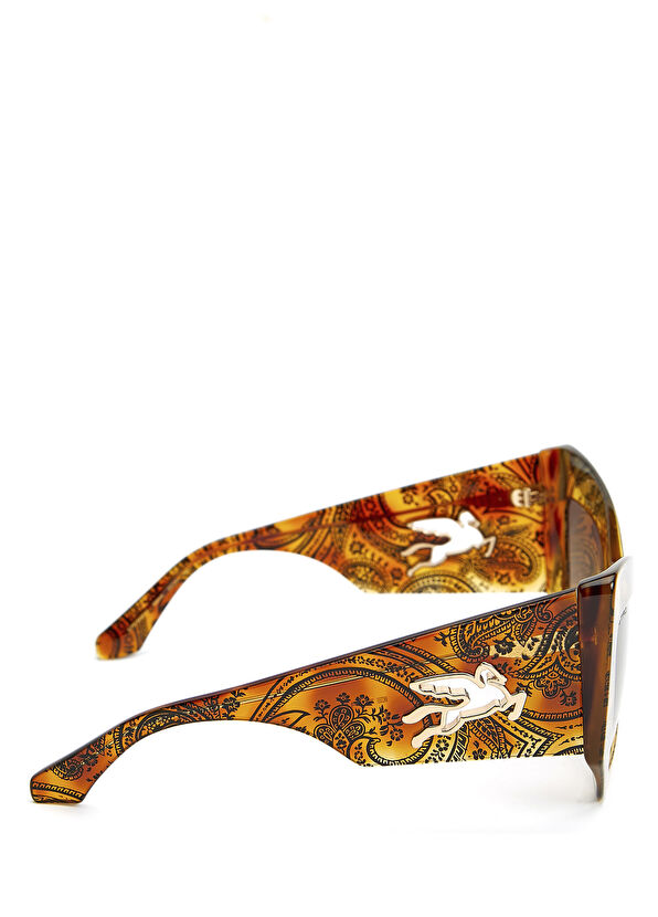 Etro Kahverengi Desenli Kadın Güneş Gözlüğü - 2