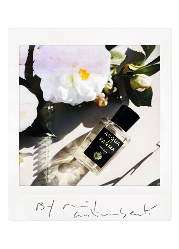 Acqua di Parma Signature Camelia Edp 100ml - 3