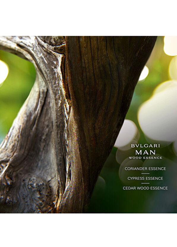 Bvlgari Wood Essence Edp 60ml Erkek Parfüm - 3