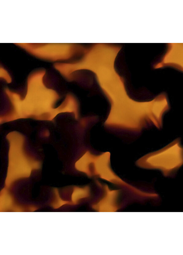 Guerlain Rouge G L Ecaille Ruj Kılıfı - 4