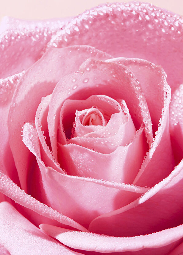 Nuxe Very Rose Tazeleyici Tonik Losyon 200 ml - 4