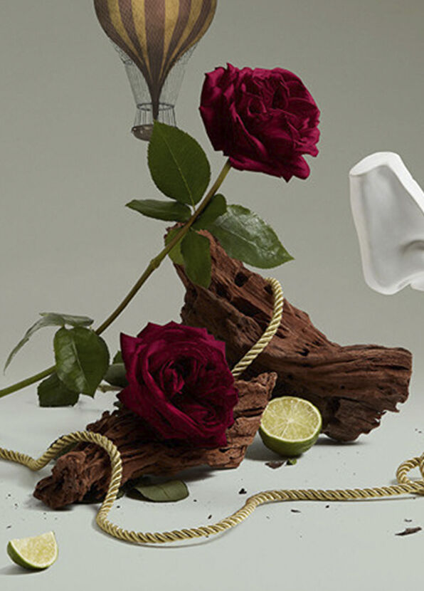 Penhaligon's Halfeti Saç Parfümü 30 ML - 2