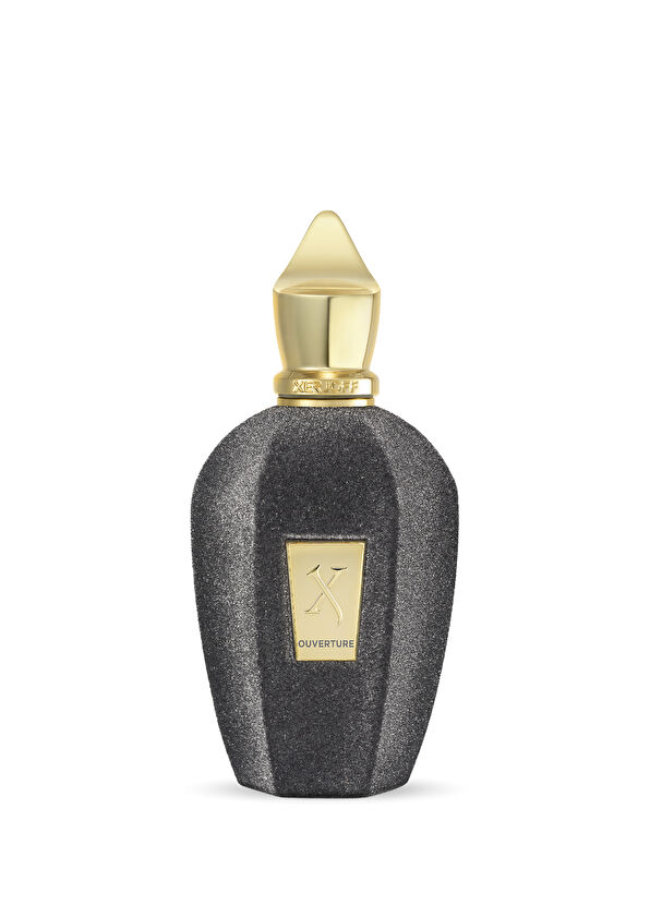 Xerjoff Xerjoff Ouverture EDP 100 ml Parfüm - 1