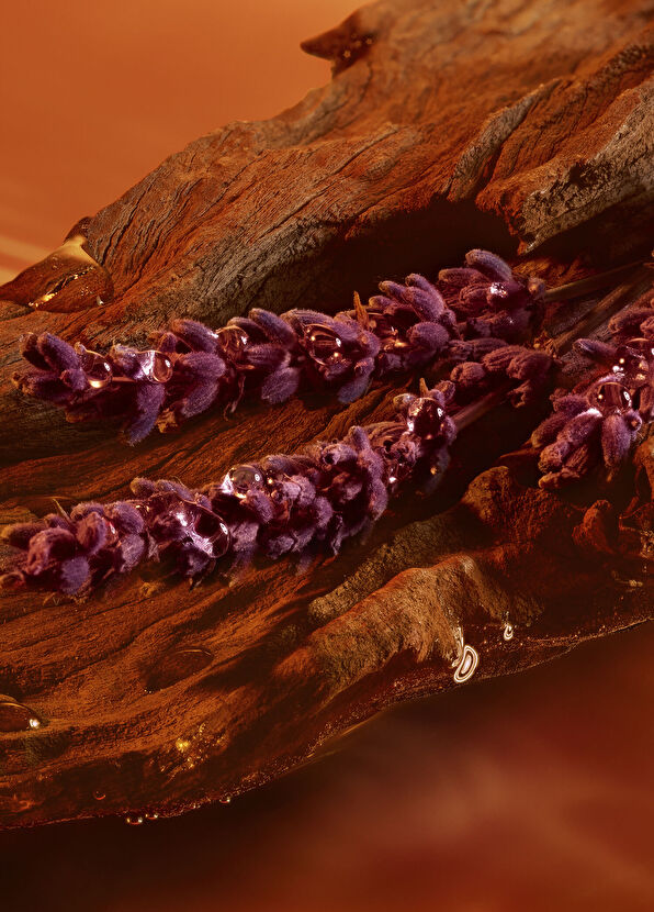 Giorgio Armani Stronger With You Intensely EDP 50ml - 4