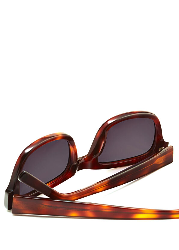 Eye Connection Paul 105B Asetat Kızıl Kahve Güneş Gözlüğü - 4