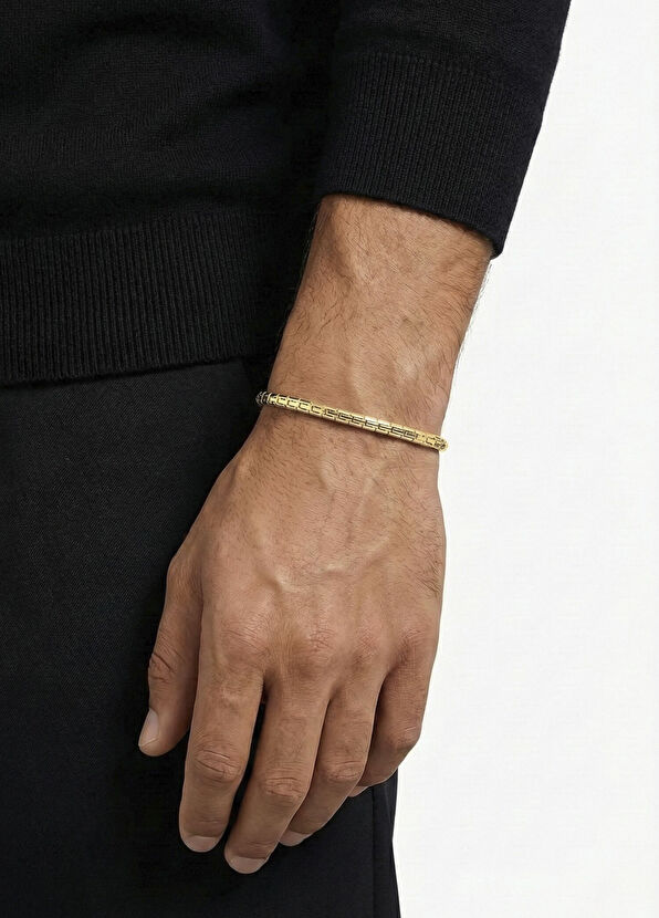 Kaplan Charm Delta 14 Ayar Altın Kaplama 925 Ayar Gümüş Erkek Bileklik - Görsel 3