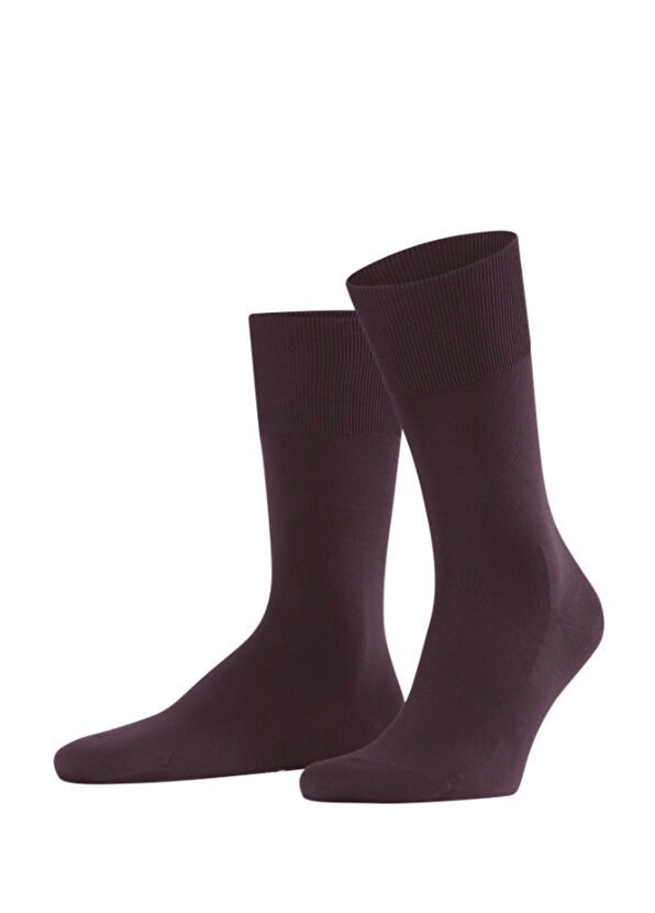 Falke Clima Wool Bordo Erkek Çorap - 1