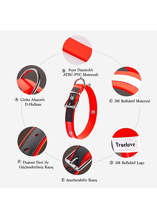 True Love DuraPup Siyah Köpek Boyun Tasması - 3
