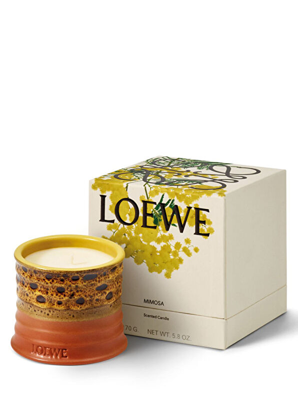 Loewe Mimosa Mum 170 gr - 2
