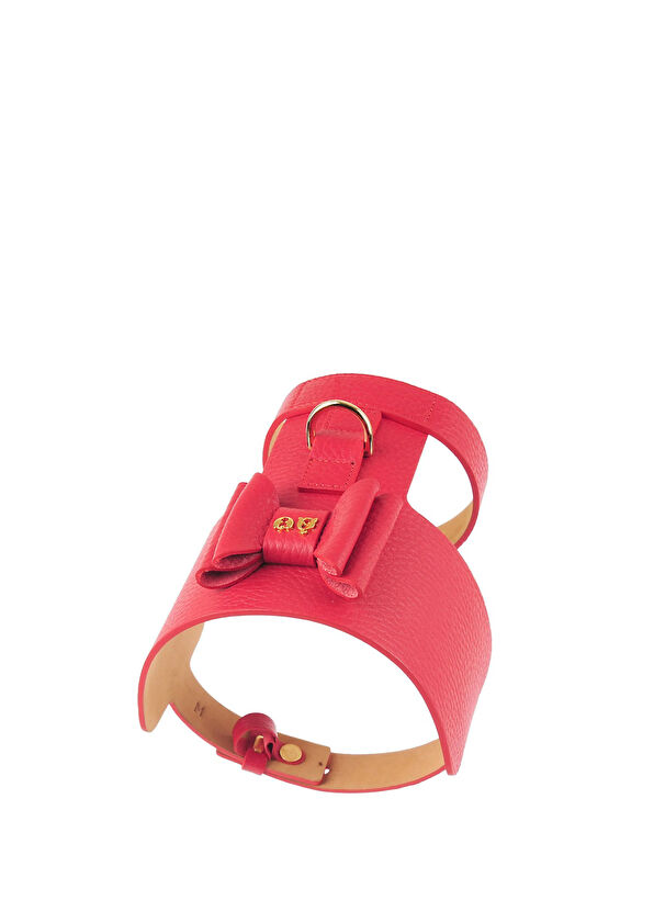 Moshiqa Bijou Red Ribbon Dog Chest Colash - 1