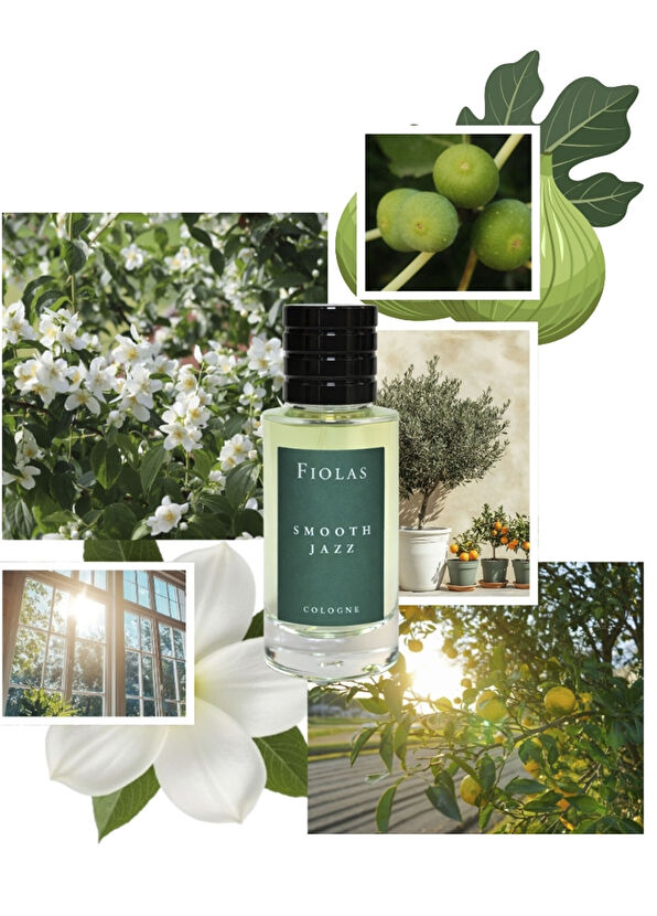 Fiolas Smooth Jazz Kolonya 50 ml - 2