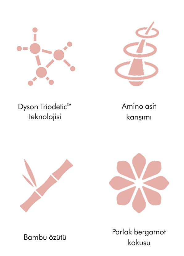 Dyson Chitosan™ Çok Amaçlı Saç Şekillendirme Spreyi 165 ml - 2