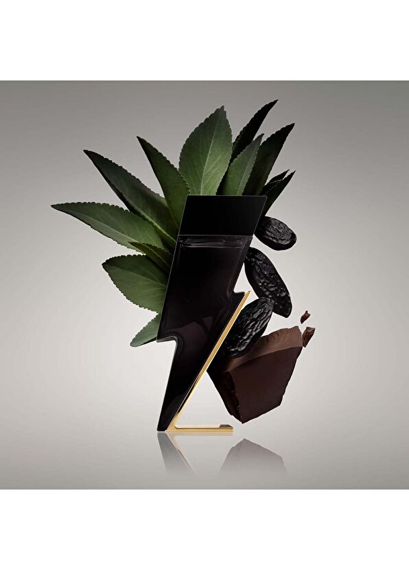 Carolina Herrera Bad Boy Edt Ns 100Ml - 4