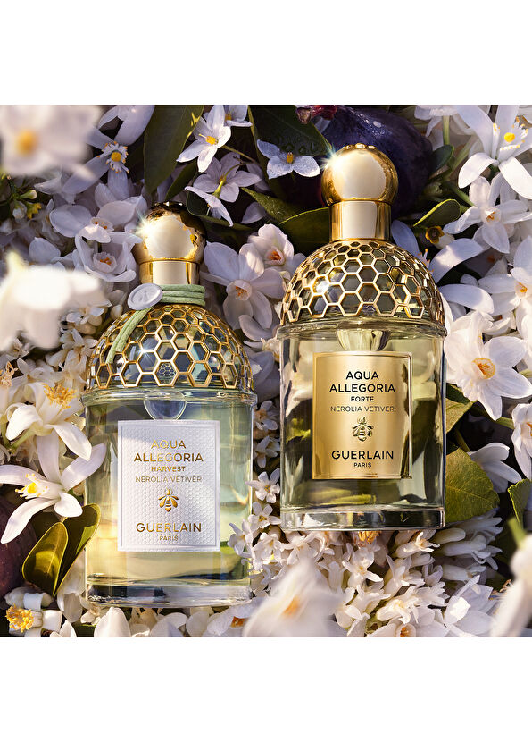Guerlain Aqua Nerolia Vetiver Harvest EDT 125 ml Parfüm - 4