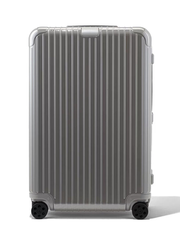 Essential Check In L Gri Bavul - Görsel 3