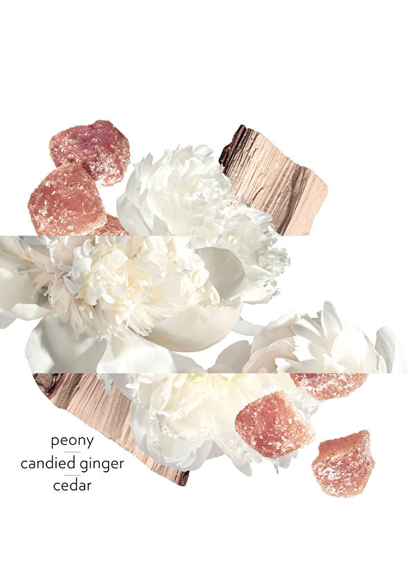 Hermès Twilly Eau Ginger Eau de Parfüm 50 ml - 4