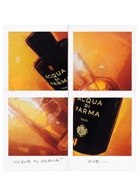 Acqua di Parma Signature Oud EDP 180 ml Parfüm - 3