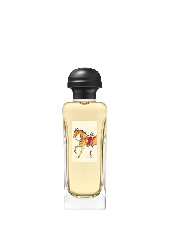 Hermès Equipagre Eau de toilette 100 ml - 2