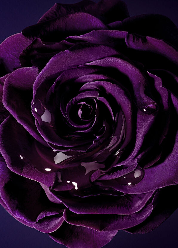 Lancome La Nuıt Tresor Edp 100 ml - 4