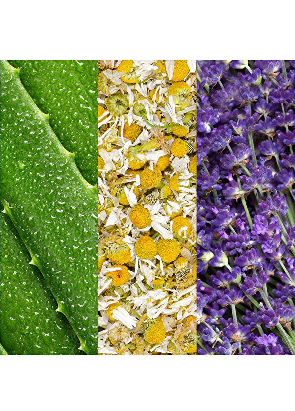 Mario Badescu Facial Spray Aloe Chamomile Lavender 118ml - 3