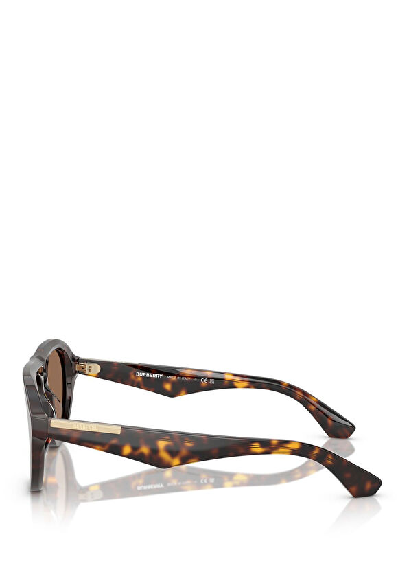 BE4437U Kahverengi Erkek Güneş Gözlüğü - Görsel 4