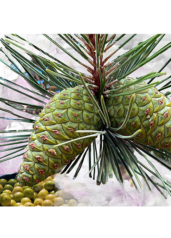 BYREDO Gypsy Water EDP 100 ml Parfüm - 2