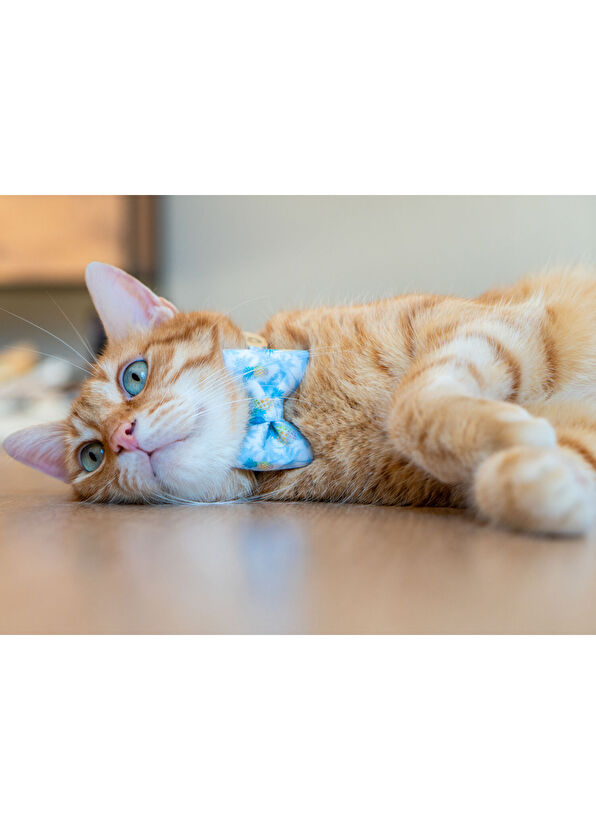 Gliparis Cat Neck Collar with Green Bow Tie - 2