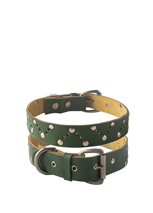 Zeynep Birinci Yeşil Deri Köpek Boyun Tasması - 1