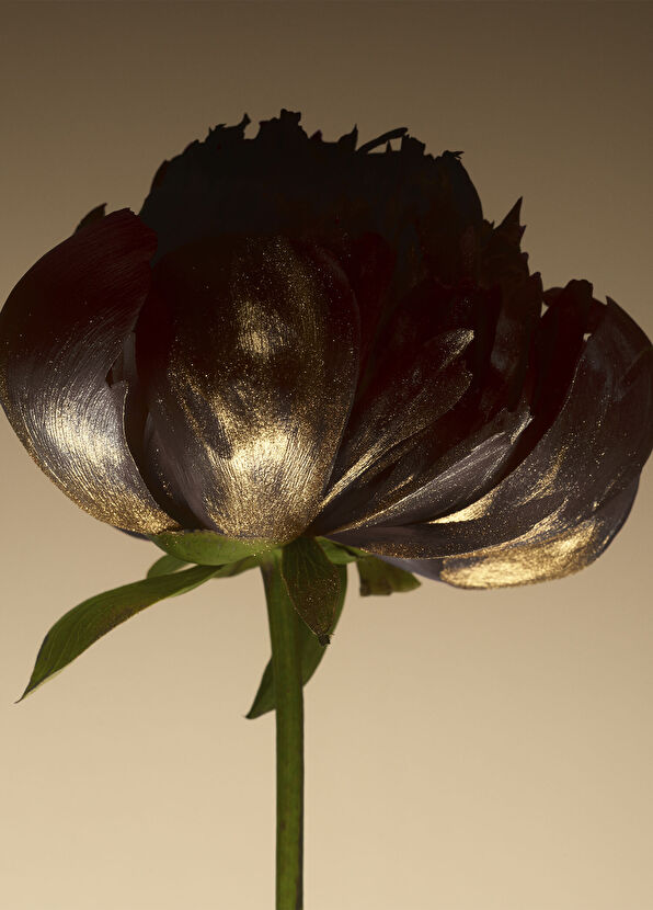 Giorgio Armani Armani/Privé Oud Royal EDP 100ml - 4