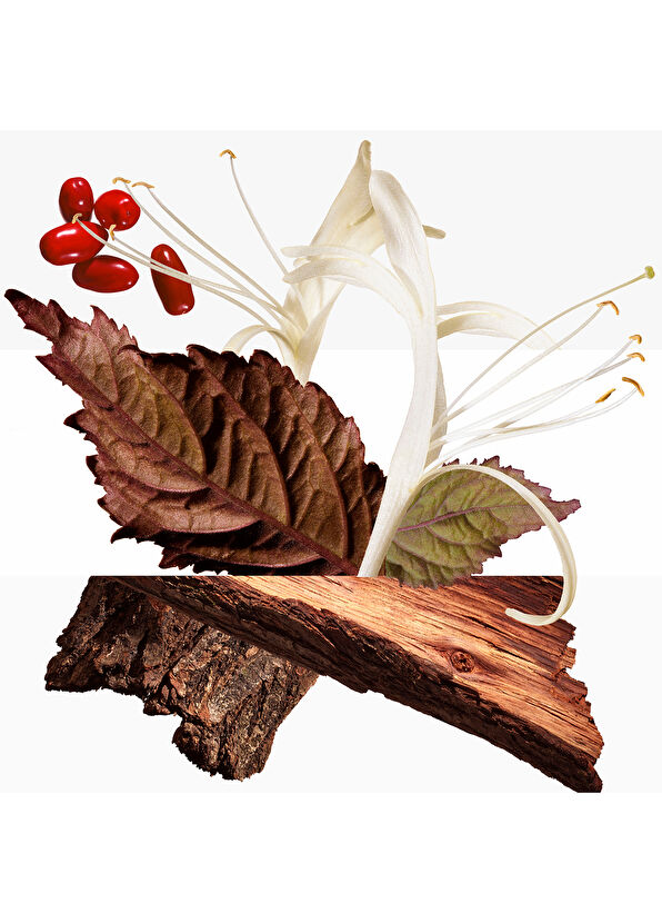 Hermès Barénia, perfumed hair mist - 4