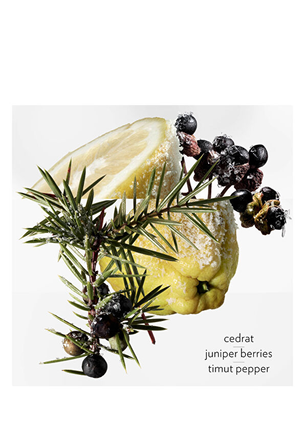 Hermès Terre d Hermes Eau Givree 100 ml Erkek Parfüm - 4