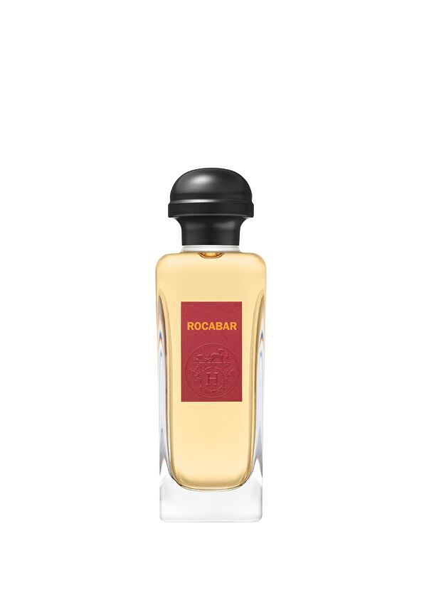 Hermès Rocabar Eau de toilette 100ml - 1