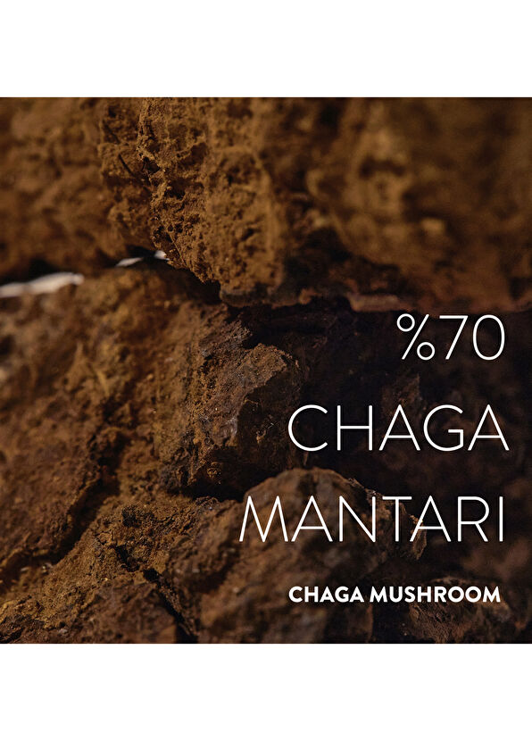 KAINE Chaga Collagen Charging Kolajenli Yaşlanma Karşıtı Cilt Serumu 30 ml - 2