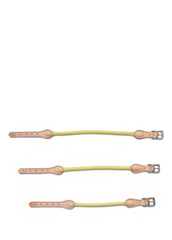 Du2 Cord Sarı Köpek Boyun Tasması - 2