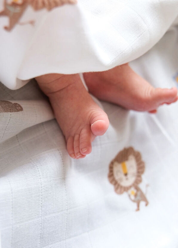 Casadora Baby Simba 100% Organic Cotton 2-Piece Muslin Cover Set - 4