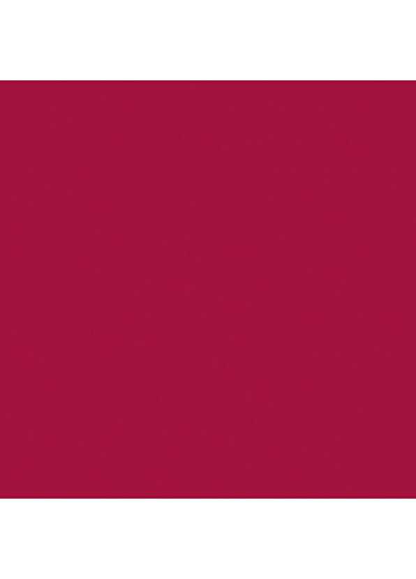 Naj Oleari Perfect Trace Lip Pencil Dark Mauve 09 Koyu Gül Kurusu Dudak Kalemi - 4