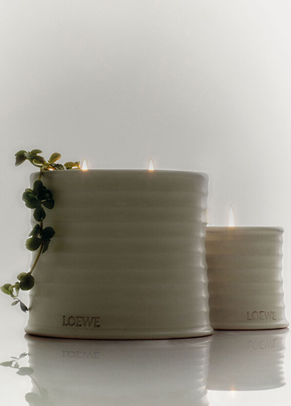 Loewe Oregon Medium 610 gr Candle - 4