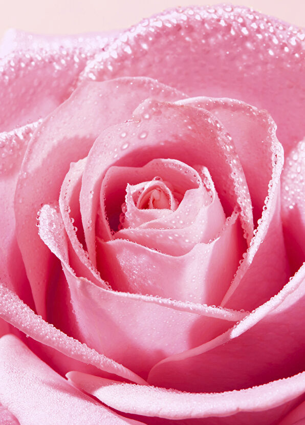 Nuxe Very Rose Face Peeling 75 ml - 4