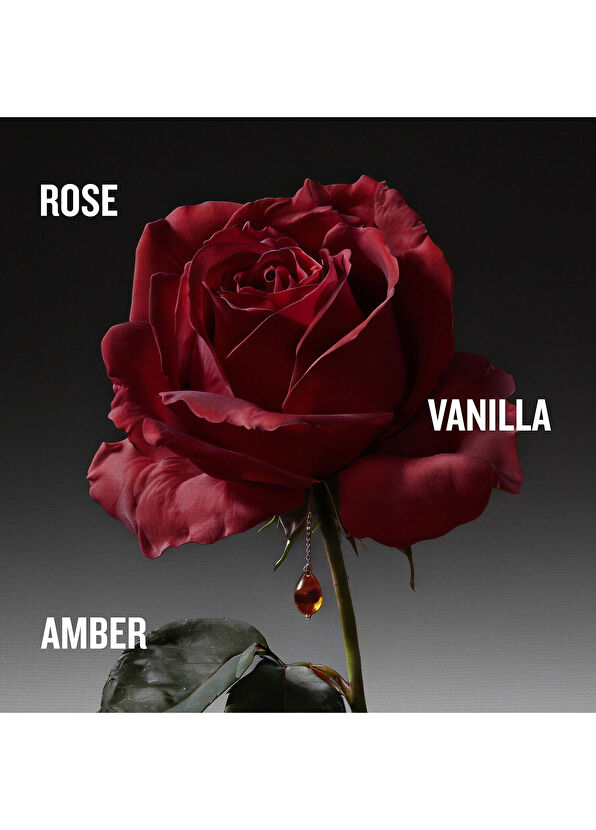 Penhaligon's The Coveted Duchess Rose EDP Intense 75 ml - 4