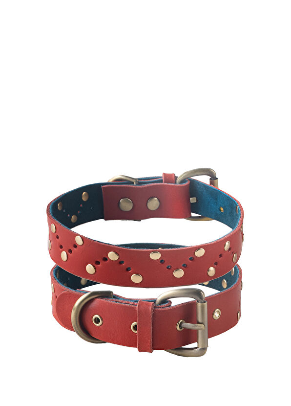 Zeynep Birinci Genuine Leather Dog Neck Collar - 1