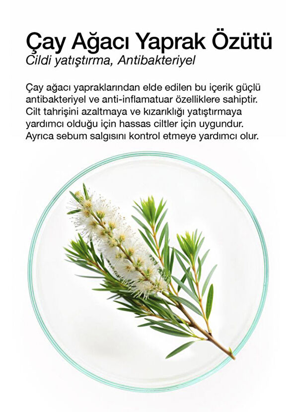 Dermal Tea Tree Mask Kuru ve Yorgun Ciltler İçin Nemlendirici ve Canlandırıcı Çay Ağacı Kore Maskesi 23 gr - 2