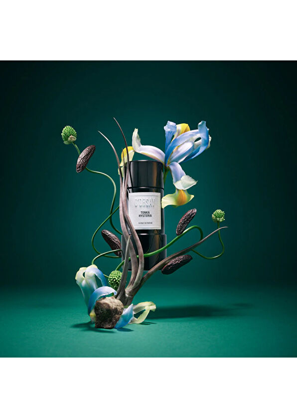 Parfum D'Orsay Tonka Hysteria Extrait de Parfum 50 ml - 2