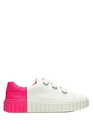 tory burch scallop sneaker