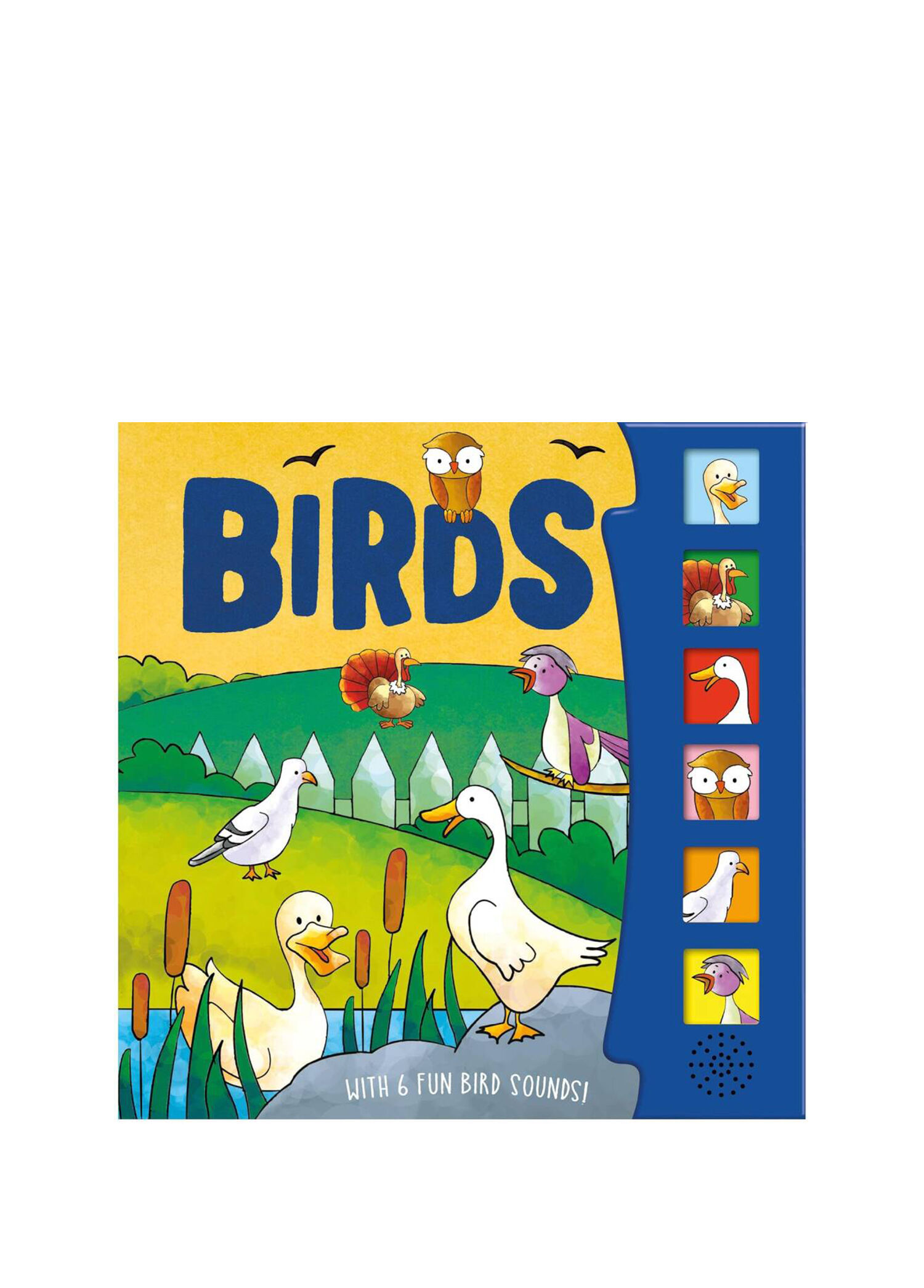 Birds 6 Button Sound Book Yabancı Dil Sesli Çocuk Kitabı