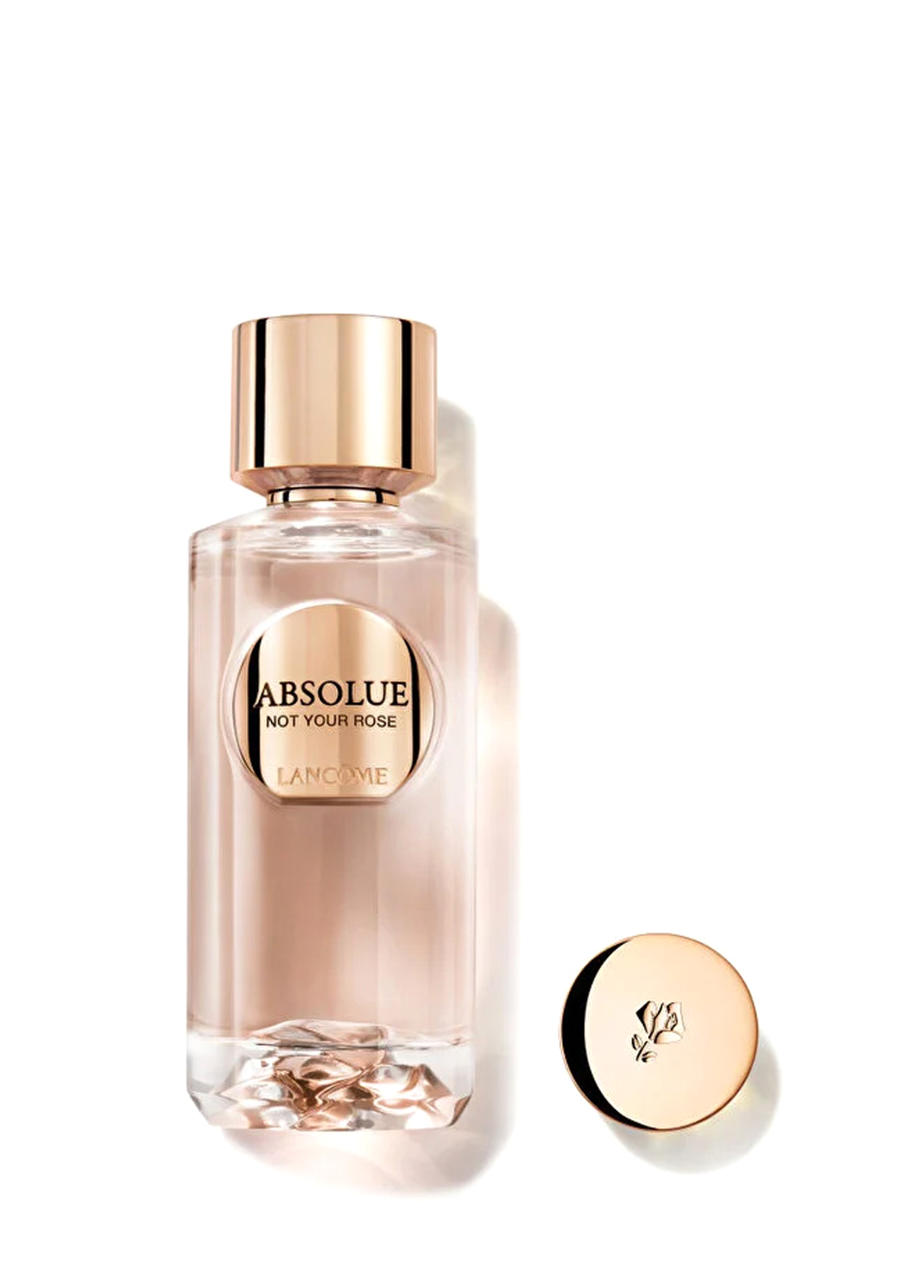 Absolue Not Your Rose EDP 100 ml